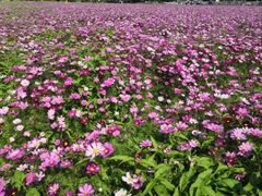 -水濂山森林公园