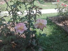 -人民公园(罗湖区)