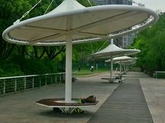 -新江湾城公园