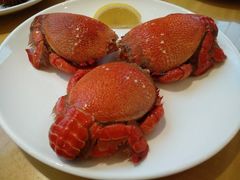 -威珀斯酒店·珀萃美食餐厅 | 海鲜刺身·现烤生蚝·特色烤肉