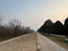 -秦始皇帝陵博物院-丽山园