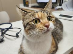 -瑞鹏宠物医院·超声·骨科·奇麟分院(蜀都万达店)