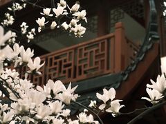 -堤角公园