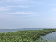 -太湖湖滨国家湿地公园-停车场