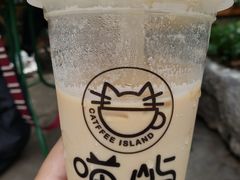-喵屿·大理花园猫咖