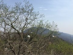 iphone_upload_pic-紫金山天文台