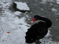 -济南野生动物世界