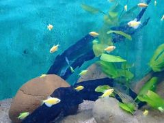 -常州海昌海洋探索馆