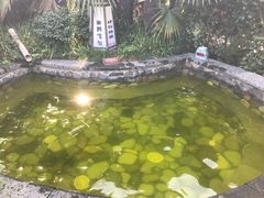 -杭州第一世界大酒店·云曼温泉