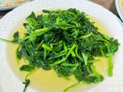 清炒豌豆尖-不相离盐帮菜(郎园店)