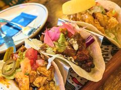 -Famous肥猫墨西哥音乐餐吧(五棵松华熙LIVE店)