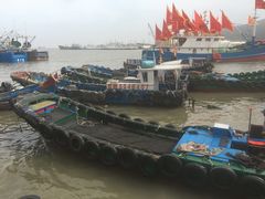 -沈家门渔港