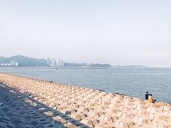 -野狸岛