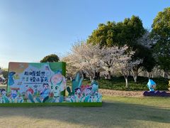 -径山花海