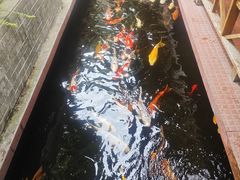 -侠成水上农庄(工业大道店)