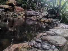 -成都市活水公园