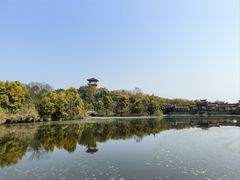 -张坝桂圆林公园