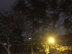 -四川大学(华西校区)