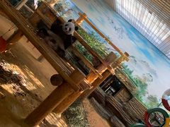 -西霞口神雕山野生动物世界