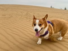 -亿利库布其七星湖沙漠生态旅游区