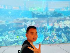 -迪拜水族馆及水下动物园
