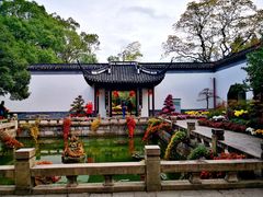 -上海醉白池公园