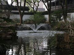 -上海醉白池公园