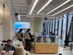 -怪兽屋·羊驼·猫咖·狗咖(俊华广场店)