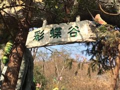-天目湖山水园
