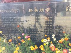 景点-罗布林卡