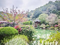 -云溪植物园