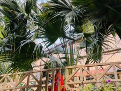 -呀路古热带植物园