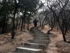 -十三陵水库