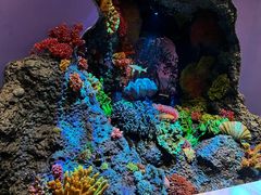 -中国湿地博物馆