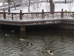 -迎泽公园