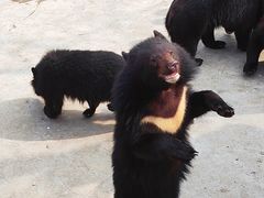 -西安秦岭野生动物园