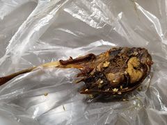 -张飞木薯羹(金鱼巷店)