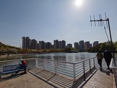 -新江湾城公园