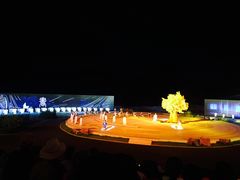 -鼎盛王朝康熙大典实景演出