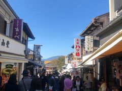 -有栖山 清光院 清水寺