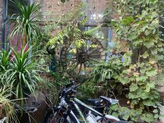 -新疆狼爷烤肉(宋庄店)