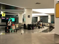 -谢列梅捷沃国际机场