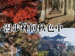 -莫干山风景区