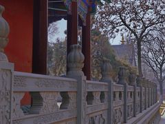 -护国法轮寺