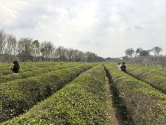 -凤凰沟景区