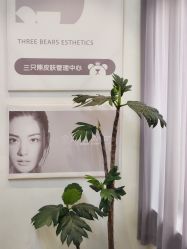 -三只熊皮肤管理中心旗舰店