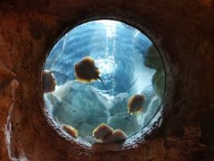 -珠海长隆海洋王国