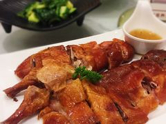 -骏莱海鲜鱼港(五角场店)