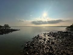 -宝安西湾红树林湿地公园