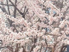 -新世界小天星幼儿园(尚景园)